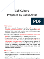 Animal Cell Culture