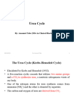 Urea Cycle