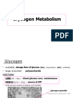 Glycogen Metabolism.