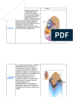 Tarea de Bologia