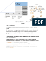 CONSULTA PREVIA A LA PRACTICA Lab 5