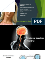 Sistema Nervioso Central