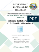 Informe de Lab N°3-Medición de La Presión Hidrostatica Con La Capsula de Presión Hartl