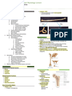 Ch5 Skeletal System 1