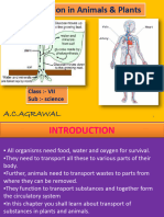 11.transportation in Plants & Animals