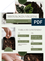 Histología Vegetal