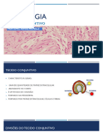 Histologia 2 - TCPD