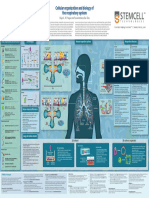 Cellular Organization and Biology of The Respiratory System