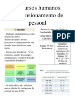 Recursos Humanos - Dimensionamento de Pessoal