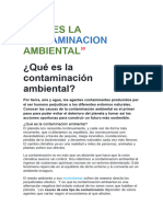 Que Es La Contaminacion Ambiental