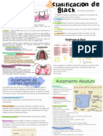 Aislamiento Relativo Y Absoluto. Clasificación de Black