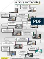 Línea de Tiempo (Historia de La Micología)