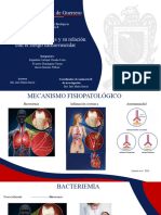 Bacterias Periodontales y Su Relacion Con El Riesgo Cariovascular