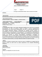 Dermatomyositis and Polymiositis Reuma