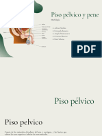 Piso Pélvico y Pene