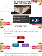 Anatomy and Physiology of Female Reproductive System