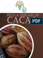 Peast and Diseases of Cacaco