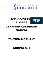 Sistema Renal