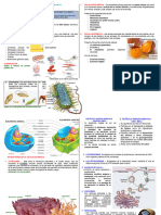 Eda 2 - Semana 9 Ficha de Trabajo - La Celula de La Vida
