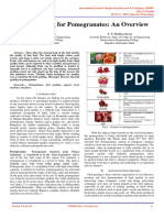 Fruit Grading For Pomegranates An Overview IJERTCONV6IS03002