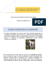 Exame Andrológico Manejo Do Garanhão Manejo de Reprodutores, e Alterações Clínicas Do Macho