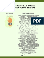 Livro 6 - Plantas Medicinais e Seus Possíveis Benefícios No Enfrentamento Da COVID-19-25-27