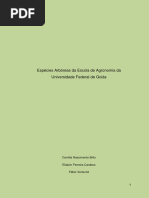 Espécies Arbóreas Da Escola de Agronomia Da Universidade Federal de Goiás