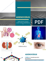 Adenovirus