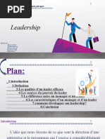 Presentation Leadership