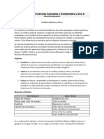 Preinforme CAmbios Quimicos y Fisicos