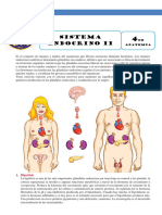 Sistema Endocrino Humano - Final PDF