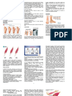 Taller 4. 2023-1. Lesiones Oseas y Musculares.