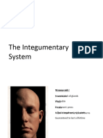 03 The Integumentary System