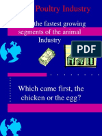 The Poultry Industry: One of The Fastest Growing Segments of The Animal Industry