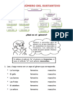 Numero y Genero Del Sustantivo