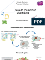 Processos Biológicos