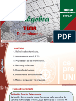 S14.1 - Determinantes I