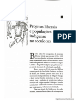 005 - PRADO - PELLEGRINO - Projetos Liberais e Populações Indígenas