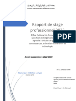 Rapport de Stage