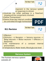 B10 Revision