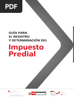 Guia para El Registro y Determinacion IP