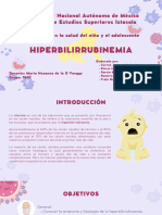 Hiperbilirrubinemia 20230901 073219 0000