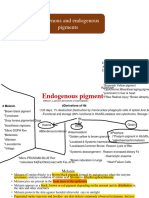 Exogenous and Endogenous Pigment.....