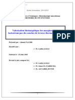 Valorisation Bioénergétique Des Margines Et Du Lactosérum Par Des Souches de Levures Thermotolérantes - NACIRI Ahmed