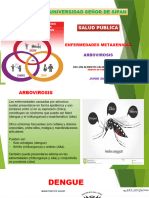 ARBOVIROSIS