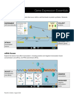 Gene Expression Essentials HTML Guide - en