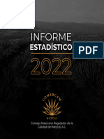 Informe-2022 - Ii - Sintesis Comercam