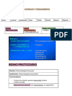 Taxonomia de Hongos y Organismos Semejantes