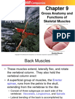 Gross Ana Functions of Skeletal Ms 09B