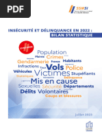 Insecurite Et Delinquance - Bilan 2022 - Synthese